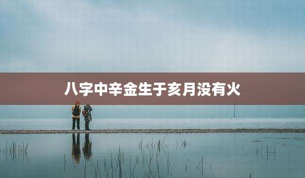 八字中辛金生于亥月没有火