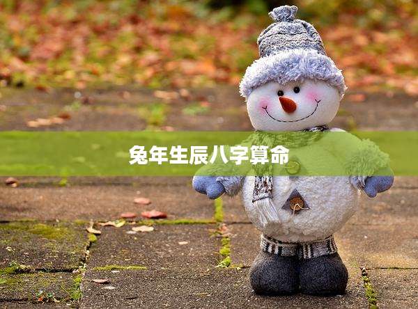 兔年生辰八字算命