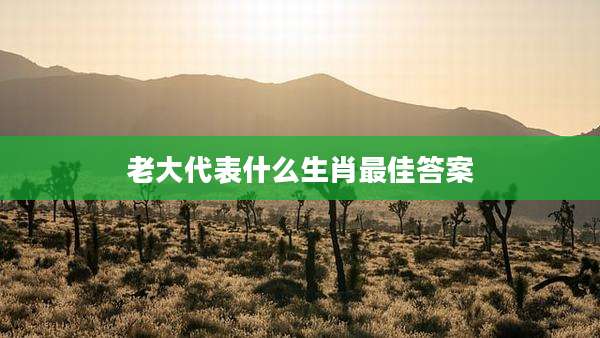 老大代表什么生肖最佳答案