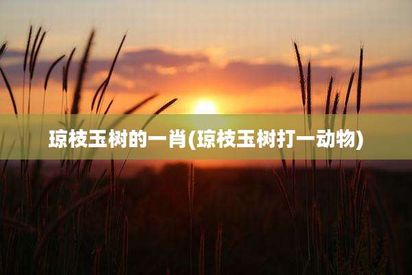 琼枝玉树的一肖(琼枝玉树打一动物)