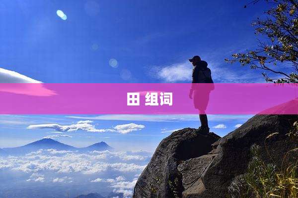 田 组词