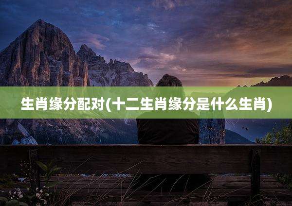 生肖缘分配对(十二生肖缘分是什么生肖)