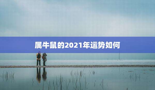 属牛鼠的2021年运势如何