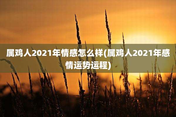 属鸡人2021年情感怎么样(属鸡人2021年感情运势运程)
