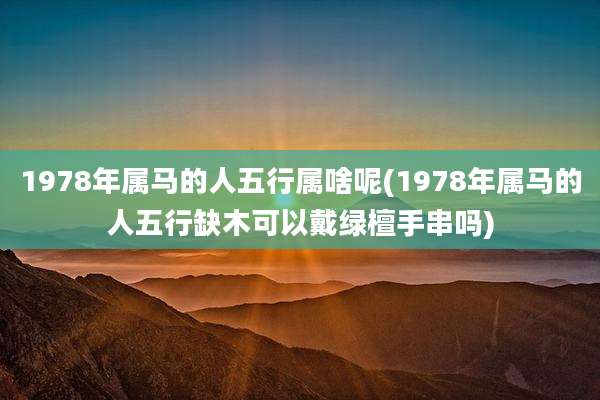 1978年属马的人五行属啥呢(1978年属马的人五行缺木可以戴绿檀手串吗)