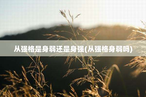 从强格是身弱还是身强(从强格身弱吗)