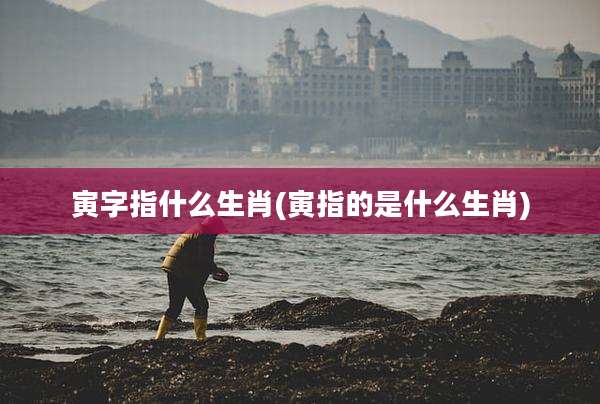 寅字指什么生肖(寅指的是什么生肖)