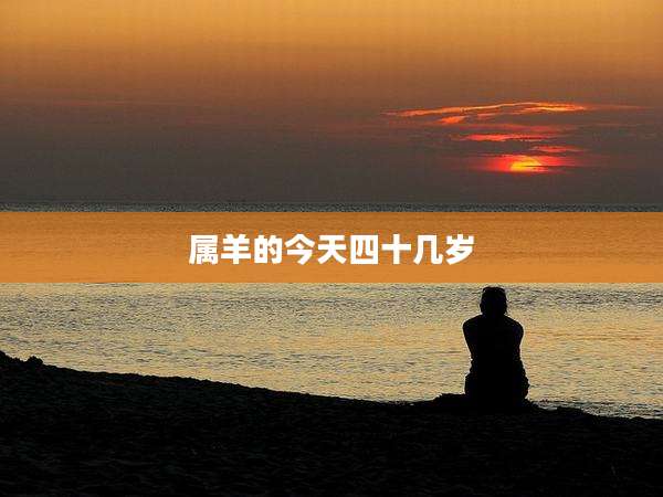 属羊的今天四十几岁