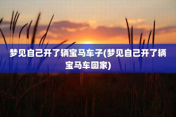 梦见自己开了辆宝马车子(梦见自己开了辆宝马车回家)