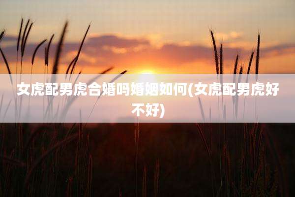 女虎配男虎合婚吗婚姻如何(女虎配男虎好不好)
