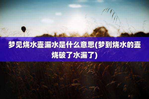 梦见烧水壶漏水是什么意思(梦到烧水的壶烧破了水漏了)