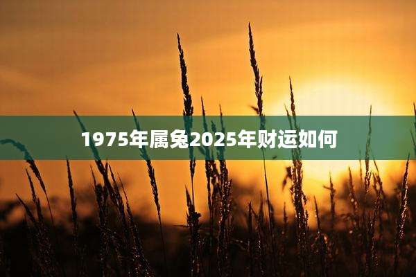 1975年属兔2025年财运如何