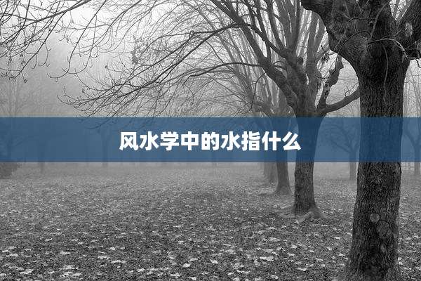 风水学中的水指什么