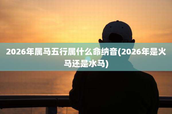 2026年属马五行属什么命纳音(2026年是火马还是水马)