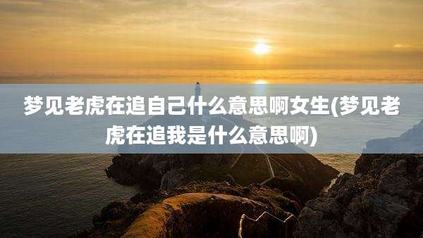 梦见老虎在追自己什么意思啊女生(梦见老虎在追我是什么意思啊)