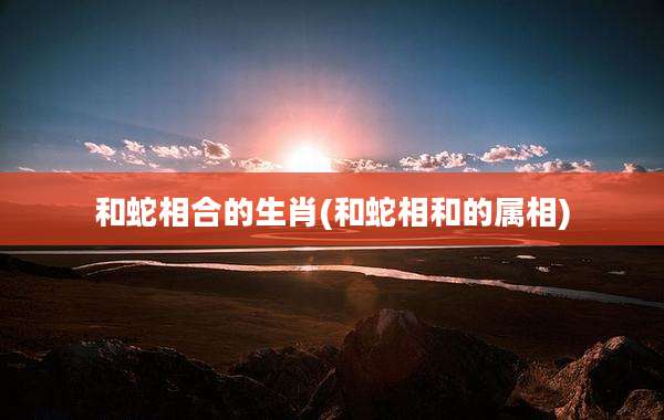 和蛇相合的生肖(和蛇相和的属相)