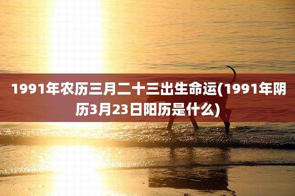 1991年农历三月二十三出生命运(1991年阴历3月23日阳历是什么)