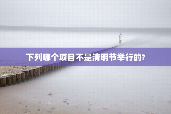 下列哪个项目不是清明节举行的?
