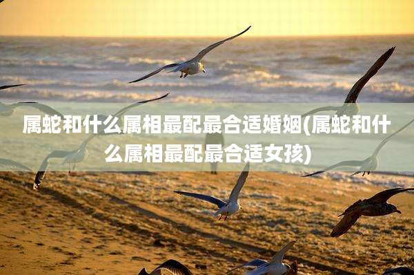 属蛇和什么属相最配最合适婚姻(属蛇和什么属相最配最合适女孩)