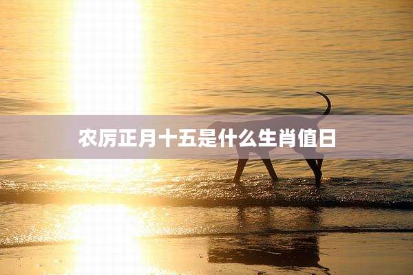 农厉正月十五是什么生肖值日