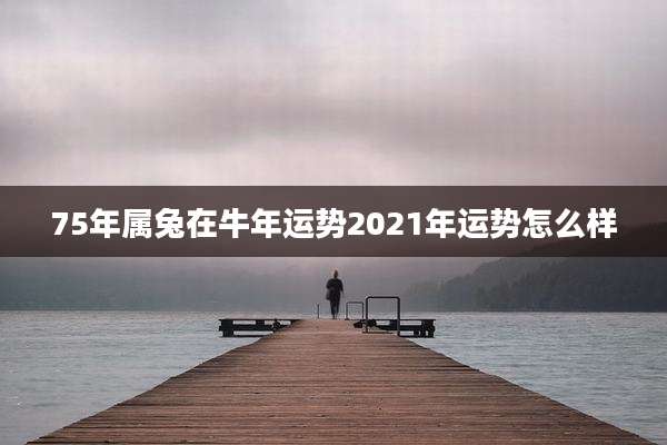 75年属兔在牛年运势2021年运势怎么样