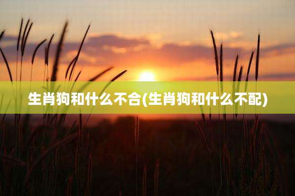 生肖狗和什么不合(生肖狗和什么不配)