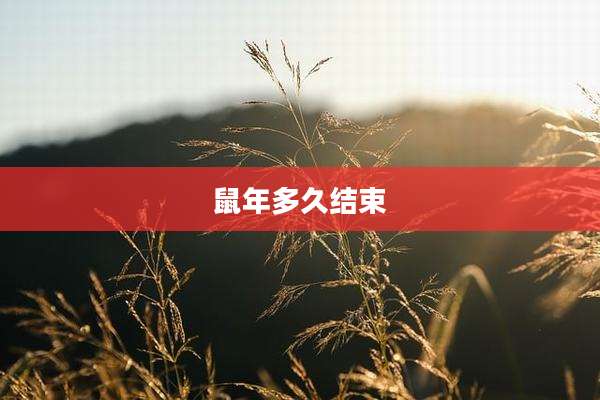鼠年多久结束