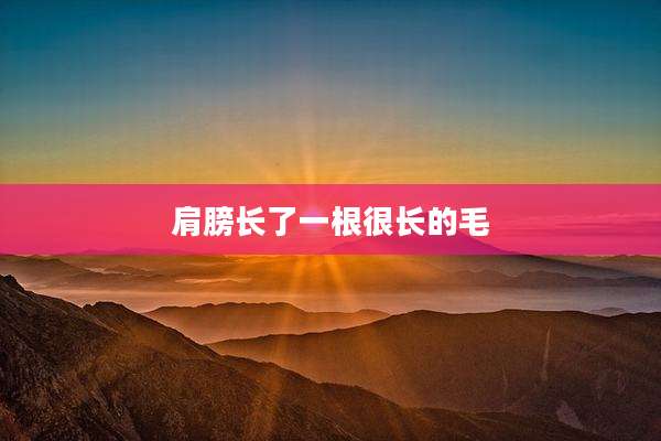 肩膀长了一根很长的毛
