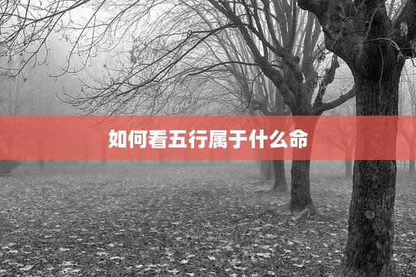 如何看五行属于什么命