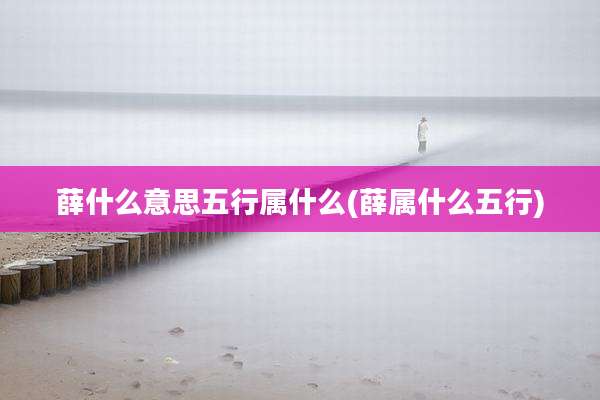 薛什么意思五行属什么(薛属什么五行)