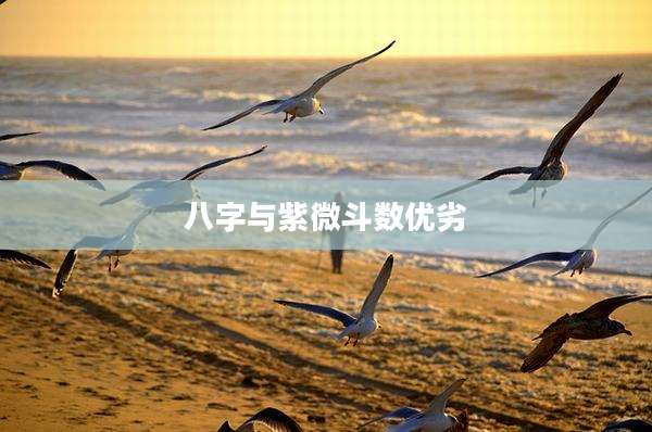 八字与紫微斗数优劣