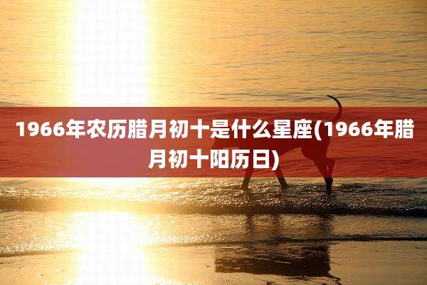 1966年农历腊月初十是什么星座(1966年腊月初十阳历日)