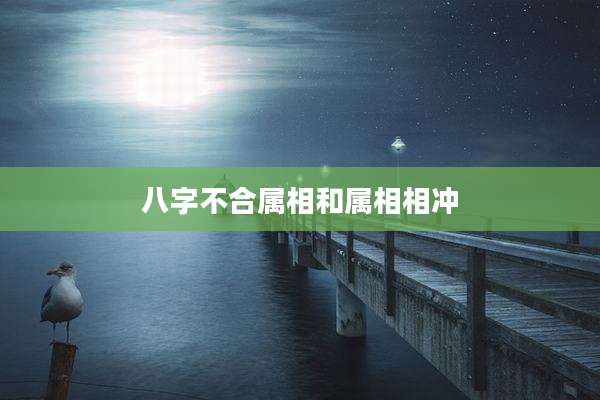 八字不合属相和属相相冲