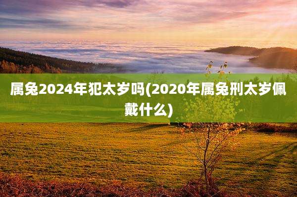 属兔2024年犯太岁吗(2020年属兔刑太岁佩戴什么)