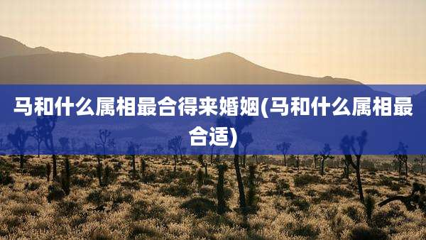 马和什么属相最合得来婚姻(马和什么属相最合适)