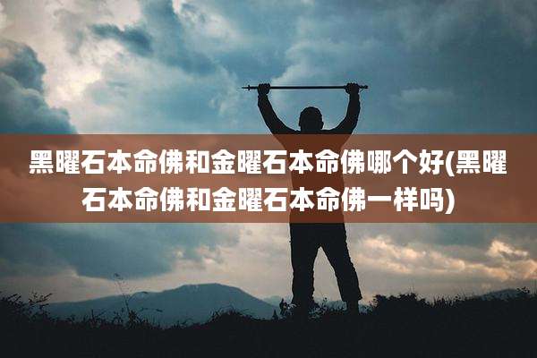黑曜石本命佛和金曜石本命佛哪个好(黑曜石本命佛和金曜石本命佛一样吗)