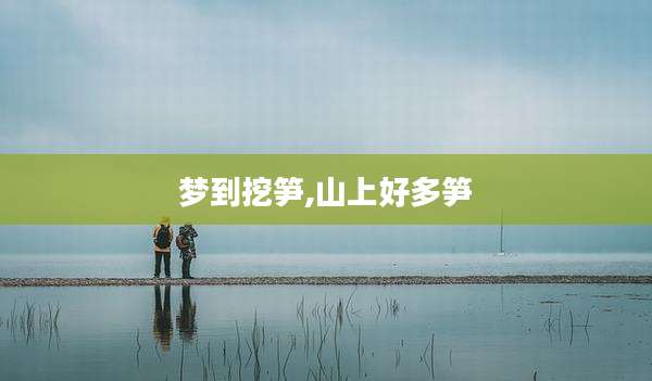 梦到挖笋,山上好多笋
