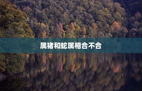 属猪和蛇属相合不合