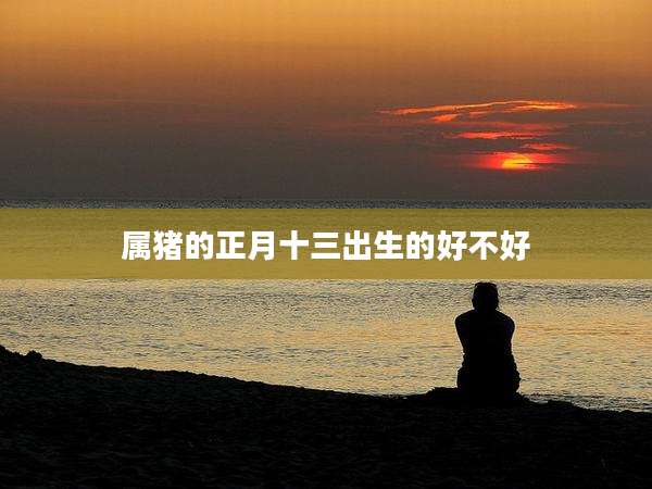 属猪的正月十三出生的好不好