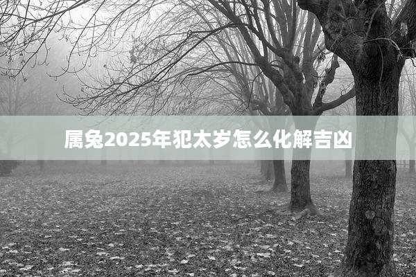 属兔2025年犯太岁怎么化解吉凶
