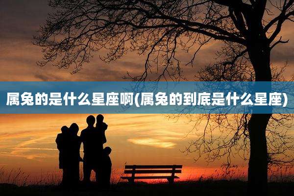 属兔的是什么星座啊(属兔的到底是什么星座)