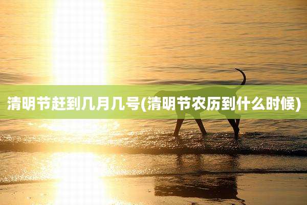 清明节赶到几月几号(清明节农历到什么时候)
