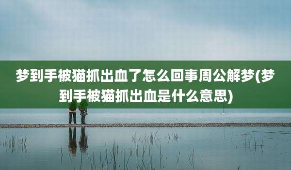 梦到手被猫抓出血了怎么回事周公解梦(梦到手被猫抓出血是什么意思)