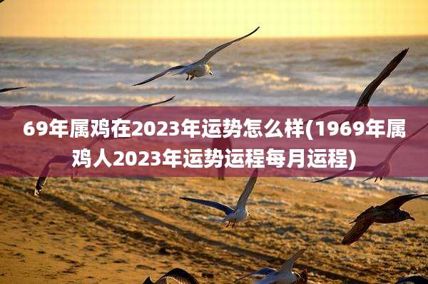 69年属鸡在2023年运势怎么样(1969年属鸡人2023年运势运程每月运程)