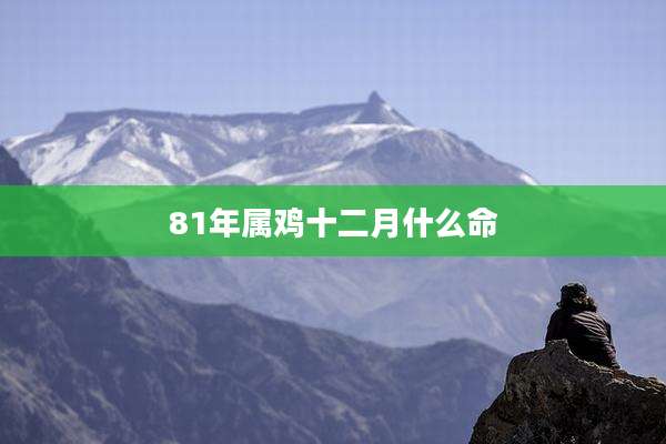 81年属鸡十二月什么命
