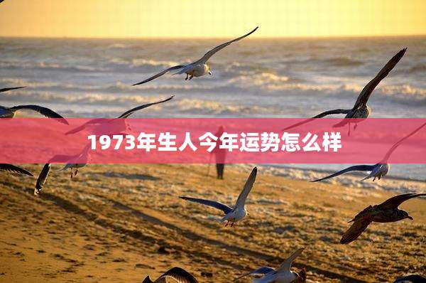 1973年生人今年运势怎么样