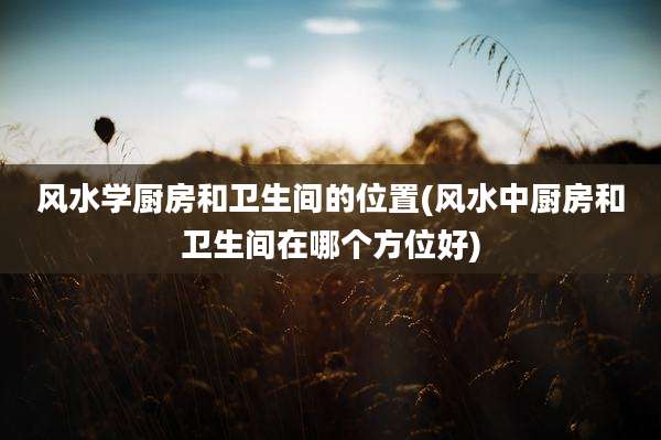 风水学厨房和卫生间的位置(风水中厨房和卫生间在哪个方位好)