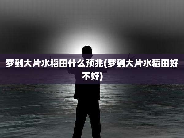 梦到大片水稻田什么预兆(梦到大片水稻田好不好)