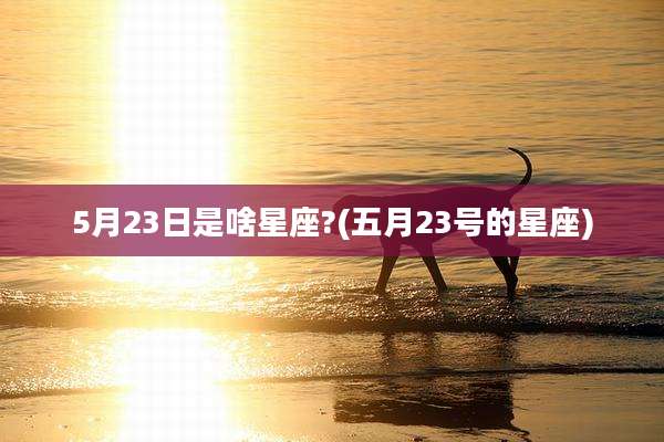 5月23日是啥星座?(五月23号的星座)