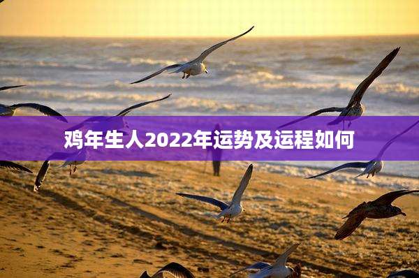 鸡年生人2022年运势及运程如何
